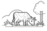 A cow grazing in a green meadow – Cow coloring page