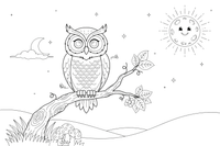 An owl sitting in a tree at night with the moon – Owl coloring page