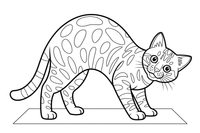 Bengal cat arching its back – Bengal Cat coloring page