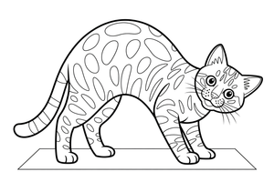 Bengal cat arching its back – Bengal Cat coloring page