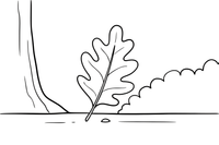One big oak leaf with rounded lobes – Vibrant Leaves Tree coloring page