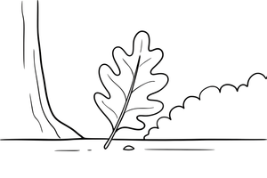 One big oak leaf with rounded lobes – Vibrant Leaves Tree coloring page