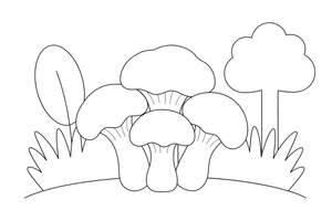 A cluster of small chanterelle mushrooms – Mushrooms coloring page