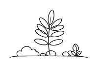 A big walnut leaf with compound leaflets – Leaves coloring page