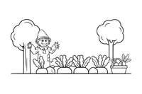 Rows of carrots being harvested from the garden – Autumn Harvest coloring page