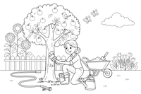 A woman painting the trunk of an apple tree white up to a certain height (whitewashing) – Garden & Gardening coloring page