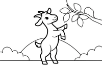 A goat standing on its back legs to reach leaves – Goat coloring page