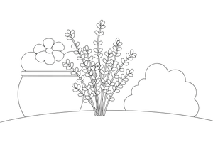 A bunch of thyme with tiny leaves on thin stems – Fragrant Herb Garden coloring page