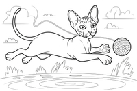 Sphynx leaping with a ball of yarn – Sphynx Cat in Motion coloring page