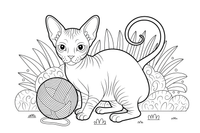 Sphynx with Yarn Ball – Sphynx Kittens coloring page