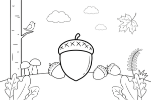 Big acorn with its little cap – Nature treasures coloring page