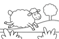 A sheep running across the field – Sheep coloring page