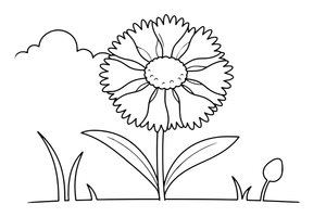 One big cornflower with frilly petals, close up – Lithuanian Nature Plants coloring page