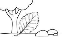 One big birch leaf with a jagged edge – Vibrant Leaves Tree coloring page