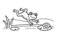 A frog jumping into the water – Curious Frog Wild coloring page