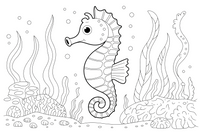 A seahorse hiding among a forest of tall swaying seaweed – Playful Seahorse coloring page