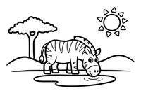 A zebra drinking from a watering hole – Galloping Zebra Wild coloring page