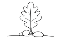 One big oak leaf with rounded lobes, close up – Leaves coloring page