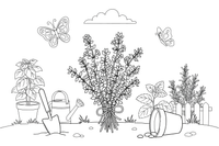A bunch of thyme with tiny leaves on thin stems – Fragrant Herb Garden coloring page