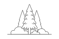 A tall pointed fir tree covered in needles – Trees coloring page