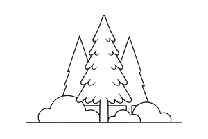 A tall pointed fir tree covered in needles – Trees coloring page