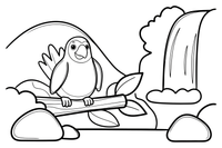 A parrot on a branch by a waterfall – Parrot Bird coloring page