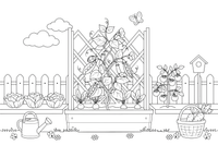 Peas growing up a garden trellis – Fresh Vegetables coloring page