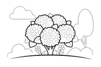 A hydrangea bush with big round blooms – Popular Flowers coloring page