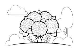 A hydrangea bush with big round blooms – Popular Flowers coloring page