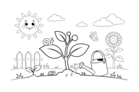 A plant in the sun being watered by a watering can – Complete Plant Life Cycle coloring page