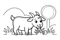 A goat eating grass – Goat coloring page