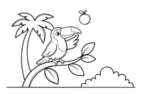 A toucan tossing a fruit into the air – Toucan coloring page
