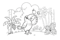 A toucan tossing a fruit into the air – Toucan coloring page