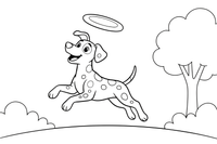 A Dalmatian jumping to catch a frisbee – Dalmatian coloring page