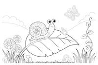 A snail crawling on a leaf – Snail coloring page