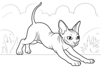 Sphynx stretching before a jump – Sphynx Cat in Motion coloring page