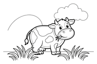 A cow chewing on grass – Cow coloring page