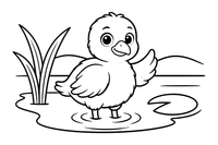 A fluffy baby flamingo chick – Flamingo Pond coloring page