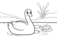 A swan on a lake with lily pads – Elegant Swan Bird coloring page