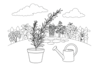 A rosemary sprig with narrow needle-like leaves – Fragrant Herb Garden coloring page