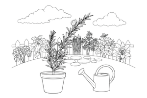 A rosemary sprig with narrow needle-like leaves – Fragrant Herb Garden coloring page