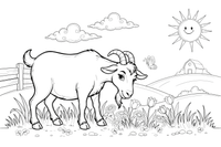 A goat eating grass – Goat coloring page