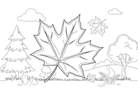 A big maple leaf – Nature treasures coloring page