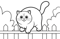 Persian Cat balancing on a fence – Persian Cat Mischievous Antics coloring page