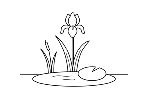 An iris on a tall stem by the pond – Popular Flowers coloring page