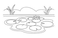Floating duckweed covering the surface of the pond – Water Plants coloring page