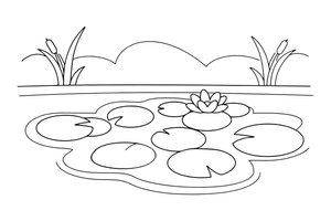 Floating duckweed covering the surface of the pond – Water Plants coloring page