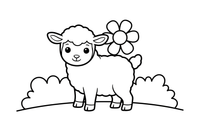 A cute baby lamb – Sheep coloring page