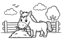 Horse eating hay in a paddock – Galloping Horse Farm coloring page