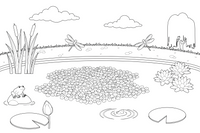 Floating duckweed covering the surface of the pond – Water Plants coloring page